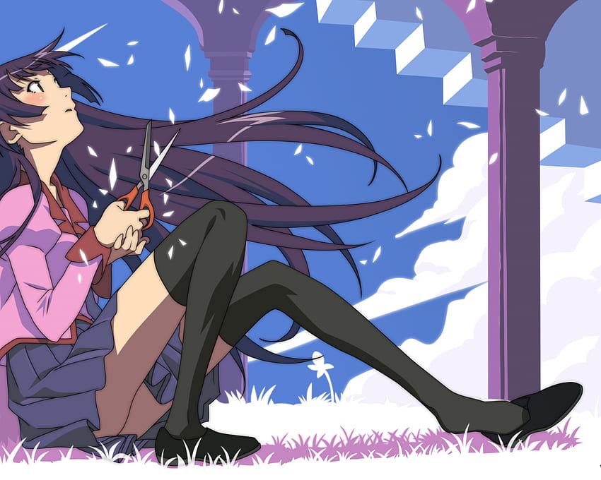 Anime Monogatari Series Hitagi Senjgahara For Your Mobile Tablet