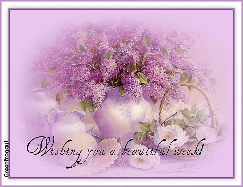 Beautiful Week Beautiful Wee Comment Card Hd Wallpaper Pxfuel