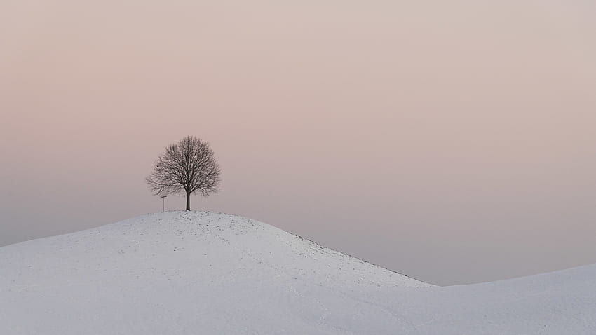 Winter Nature Twilight Snow Wood Tree Dusk Hill Hd Wallpaper