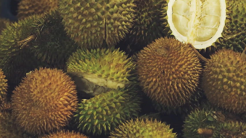 Durian By Zakum1974 HD Phone Wallpaper Pxfuel