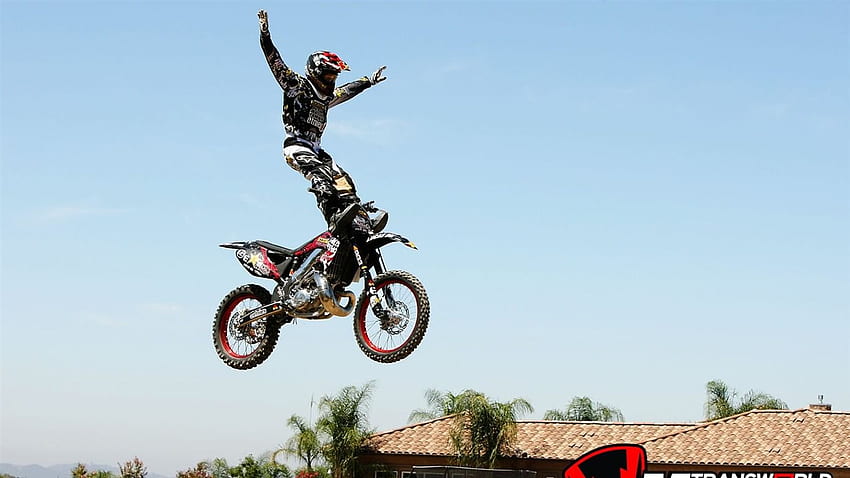 FMX HD Wallpaper Pxfuel