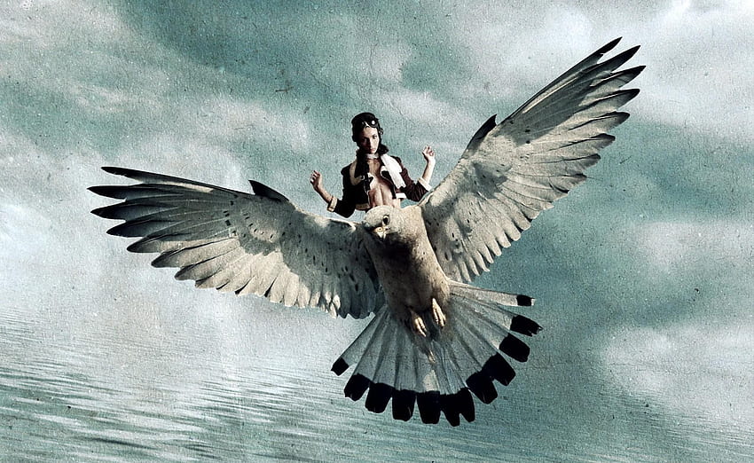 Bird Girl Fly Fantasy And Background Woman Birds Flying Hd