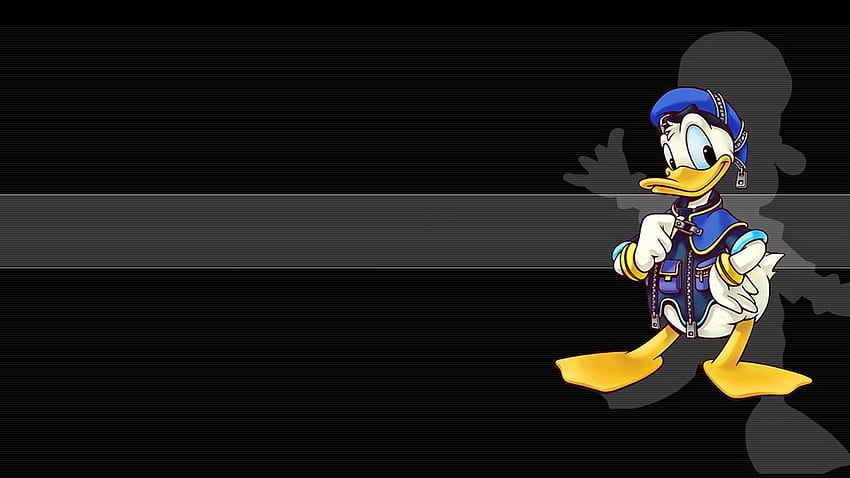 Donald Duck Donald Duck High Res Hd Wallpaper Pxfuel