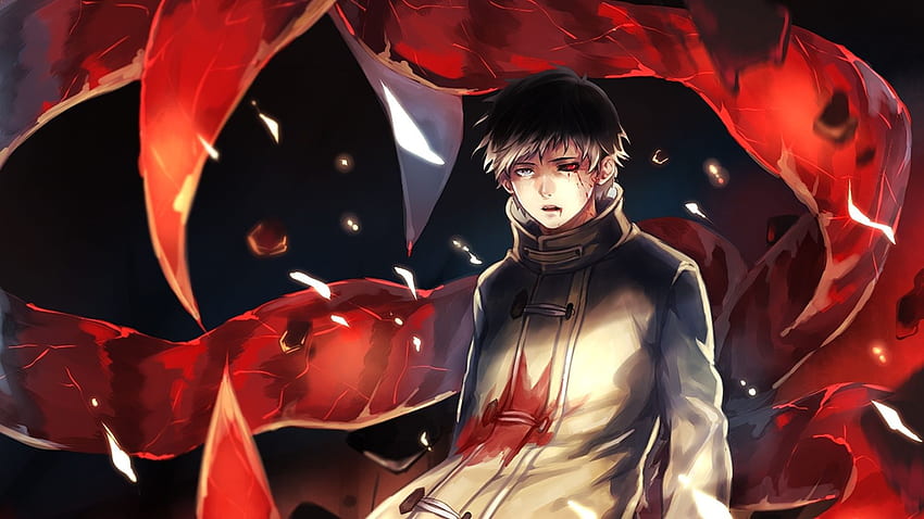 Tokyo Ghoul Re Tokyo Ghoul Arima Hd Wallpaper Pxfuel