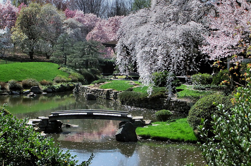 Sakura Bridge Sakura Garden Bridge Flowers Pond Hd Wallpaper Pxfuel