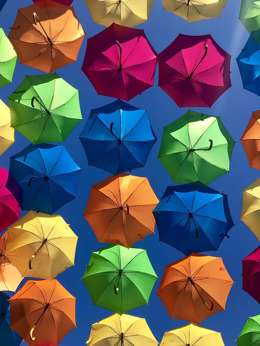 Colorful Umbrella Pink Umbrella HD Phone Wallpaper Pxfuel