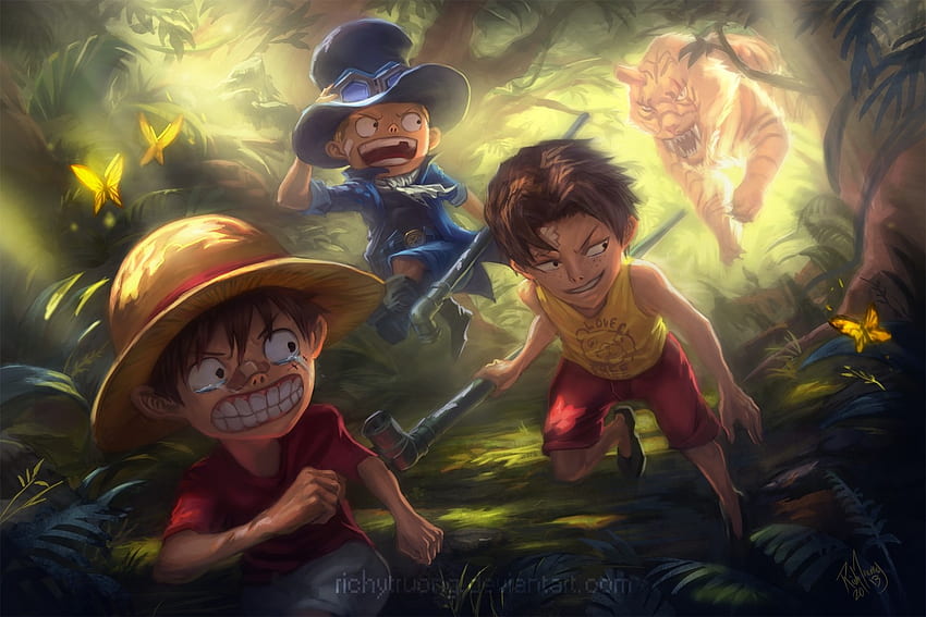 Portgas D Ace Sabo One Piece One Piece Monkey D Luffy Png Mocah