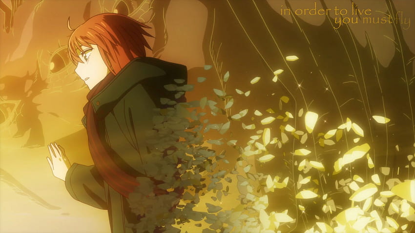 The Ancient Magus Bride HD Wallpaper Pxfuel