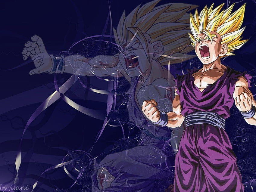 De Dragon Ball Z Son Goku Vegeta Y Son Gohan HD Wallpaper Pxfuel