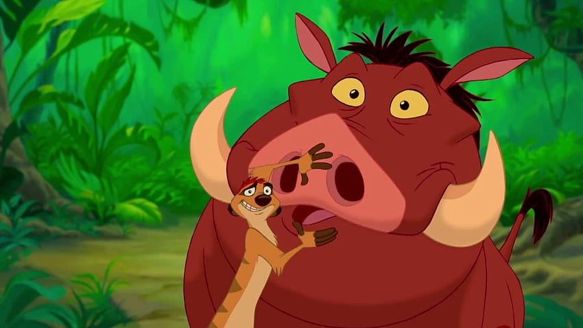 Top Timon And Pumbaa Cartoons 90 8 KB HD Wallpaper Pxfuel