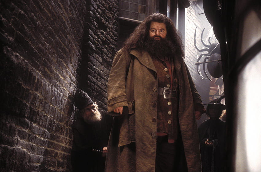 Hagrid Hd Wallpapers Pxfuel