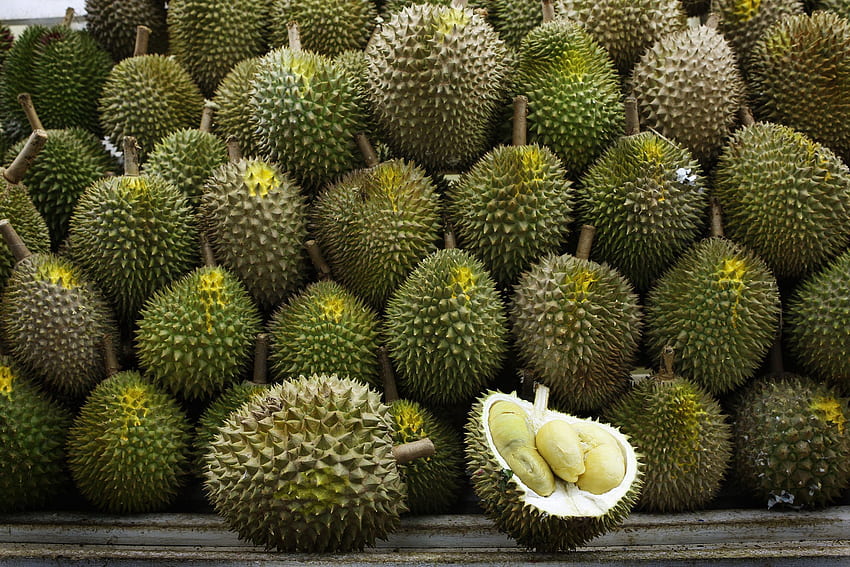 Durian Hd Wallpaper Pxfuel