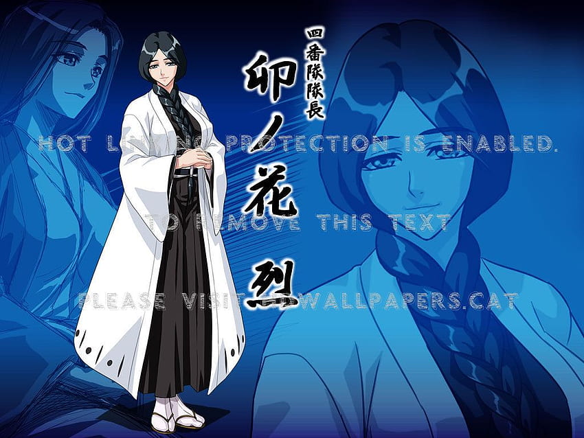 BLEACH CAPITÁN UNOHANA The Bleach Dream Studio 1 7 Unohara Retsu