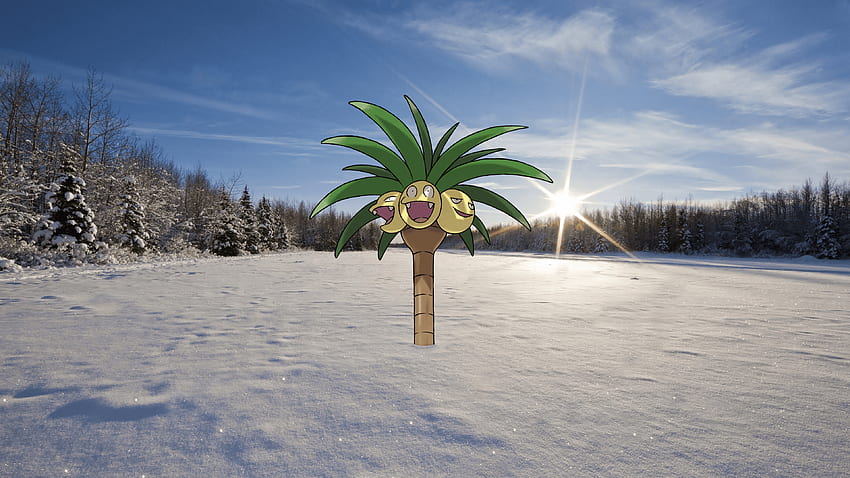 I Made An Alola Exeggutor Pokemon HD Wallpaper Pxfuel