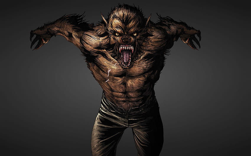 Werewolf Scary Werewolf Hd Wallpaper Pxfuel