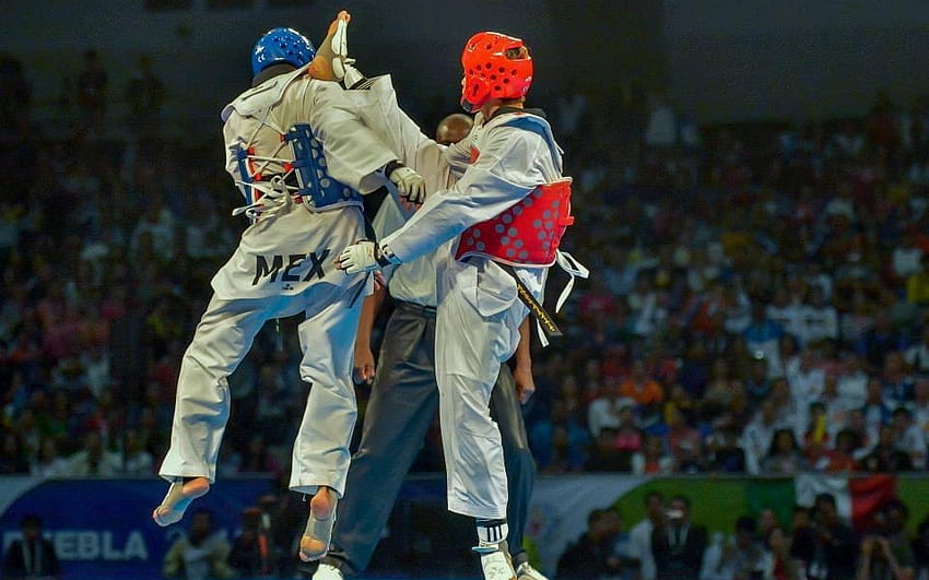 Taekwondo HD Wallpaper Pxfuel