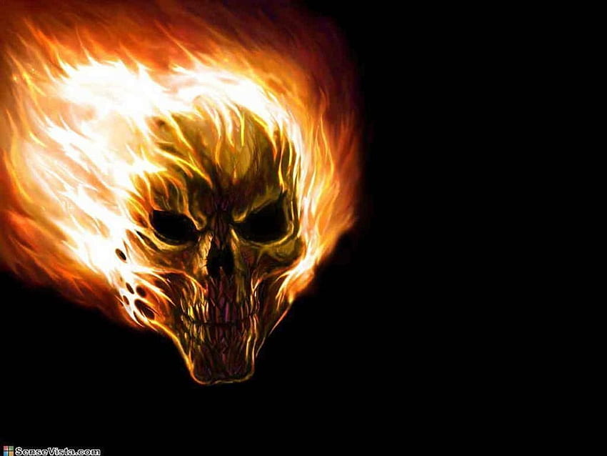 Flaming Skull Fire Skeleton Hd Wallpaper Pxfuel