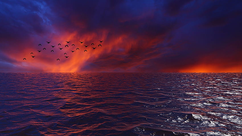 Waves Sky Birds Horizon Sunset Sea Clouds Flock Sea