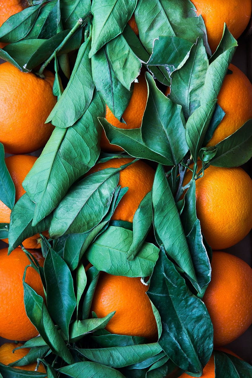 Citrus Fruit Citrus Fruits Hd Phone Wallpaper Pxfuel