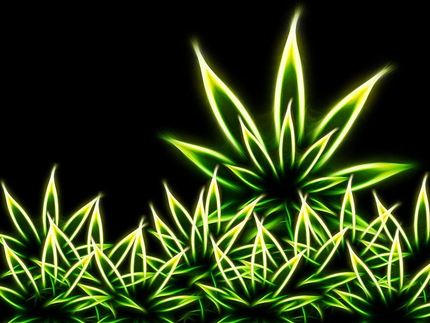 Pot Cute Stoner HD Wallpaper Pxfuel