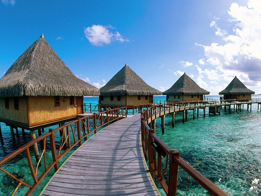 French Polynesia Collections HD Wallpaper Pxfuel