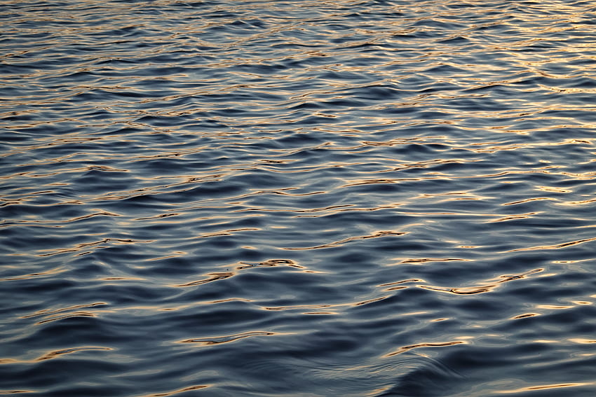 Nature Water Waves Ripples Ripple Surface Hd Wallpaper Pxfuel