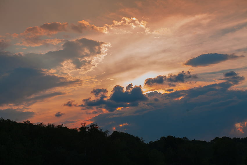 Nature Trees Sunset Twilight Clouds Dusk Hd Wallpaper Pxfuel