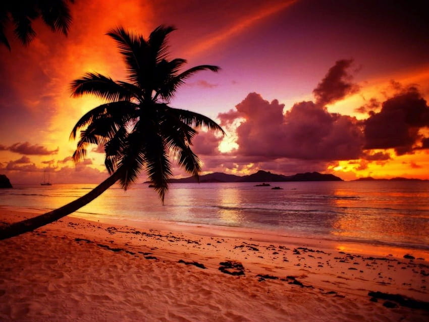 Sunset Beach Paradise Tenerife Sunset HD Wallpaper Pxfuel