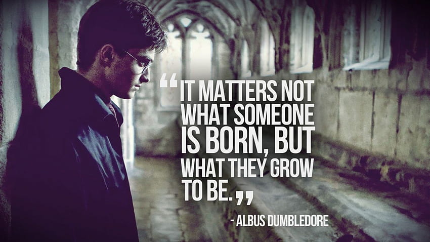 Quotes Harry Potter Daniel Radcliffe Albus Dumbledore HD Wallpaper Pxfuel