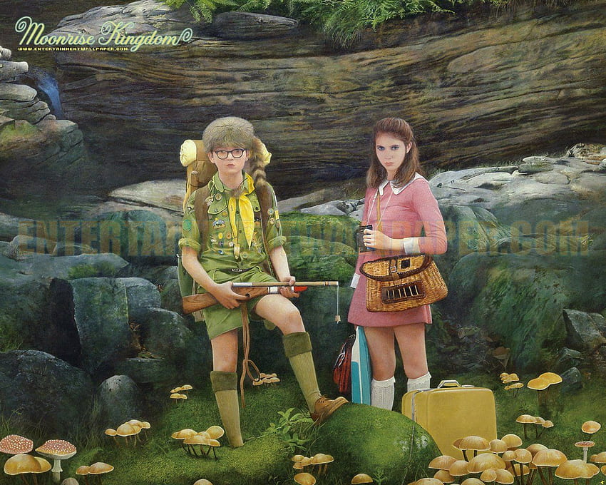 Moonrise Kingdom Moonrise Kingdom Hd Wallpaper Pxfuel