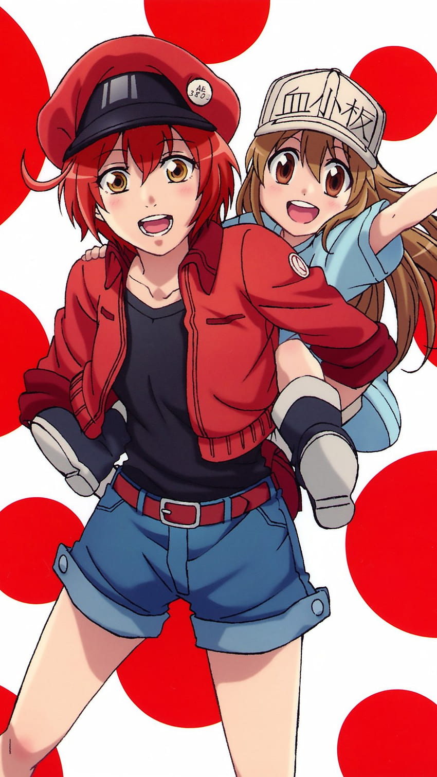 Hataraku Saibou Erythrocyte Platelet Iphone Plus Kawaii