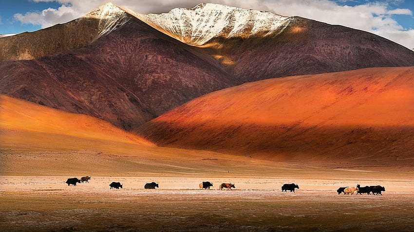 Best Ladakh On Pholder India Earth Porn Hd Wallpaper Pxfuel