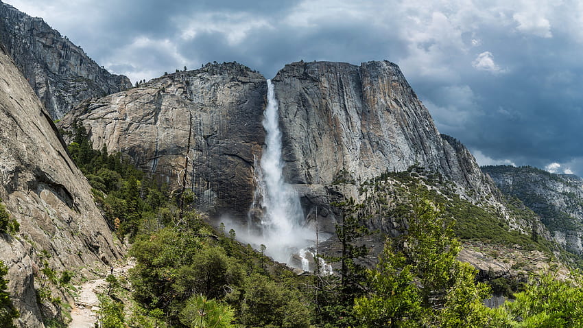 Yosemite Forest OSX Apple HD Wallpaper Pxfuel