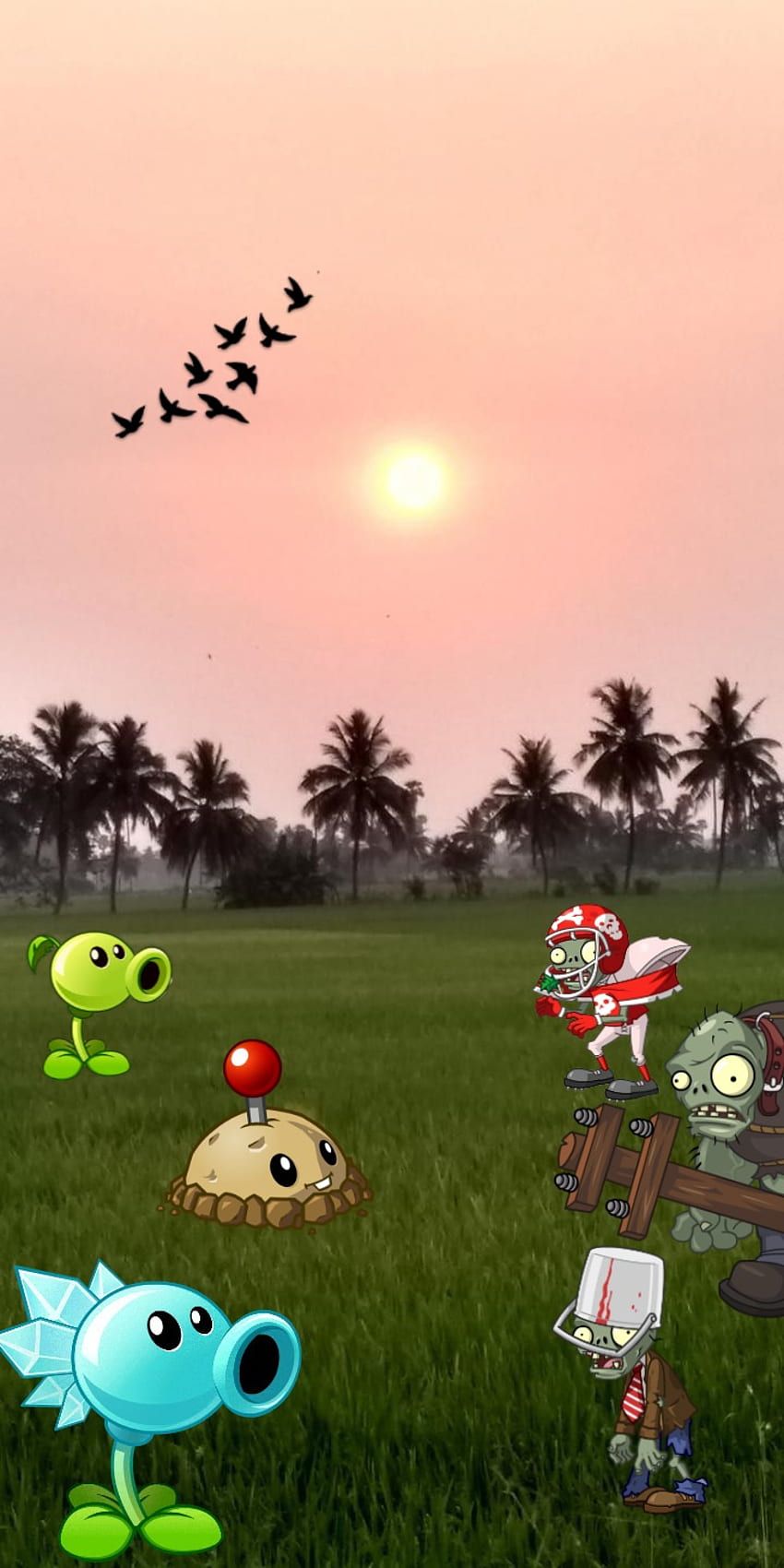 Plants Vs Zombies Plantsvszombies Grass Green HD Phone Wallpaper