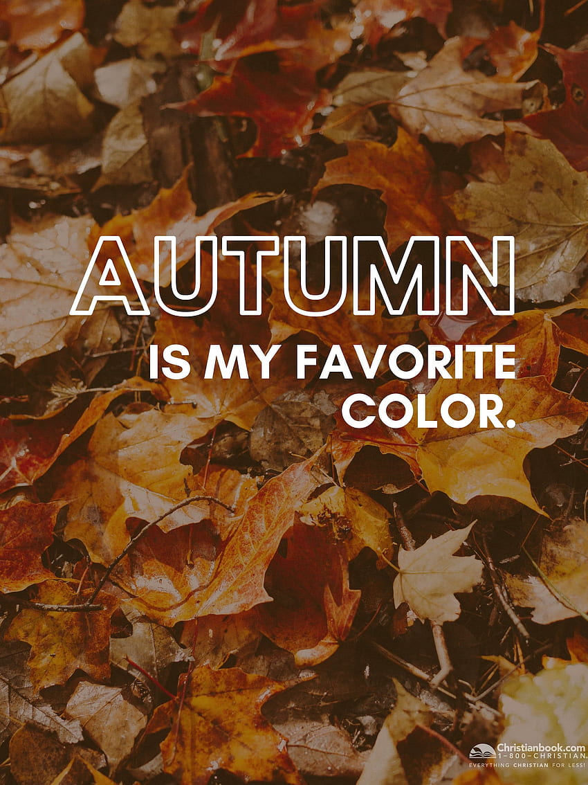 Fall Blog Cozy Autumn HD Phone Wallpaper Pxfuel