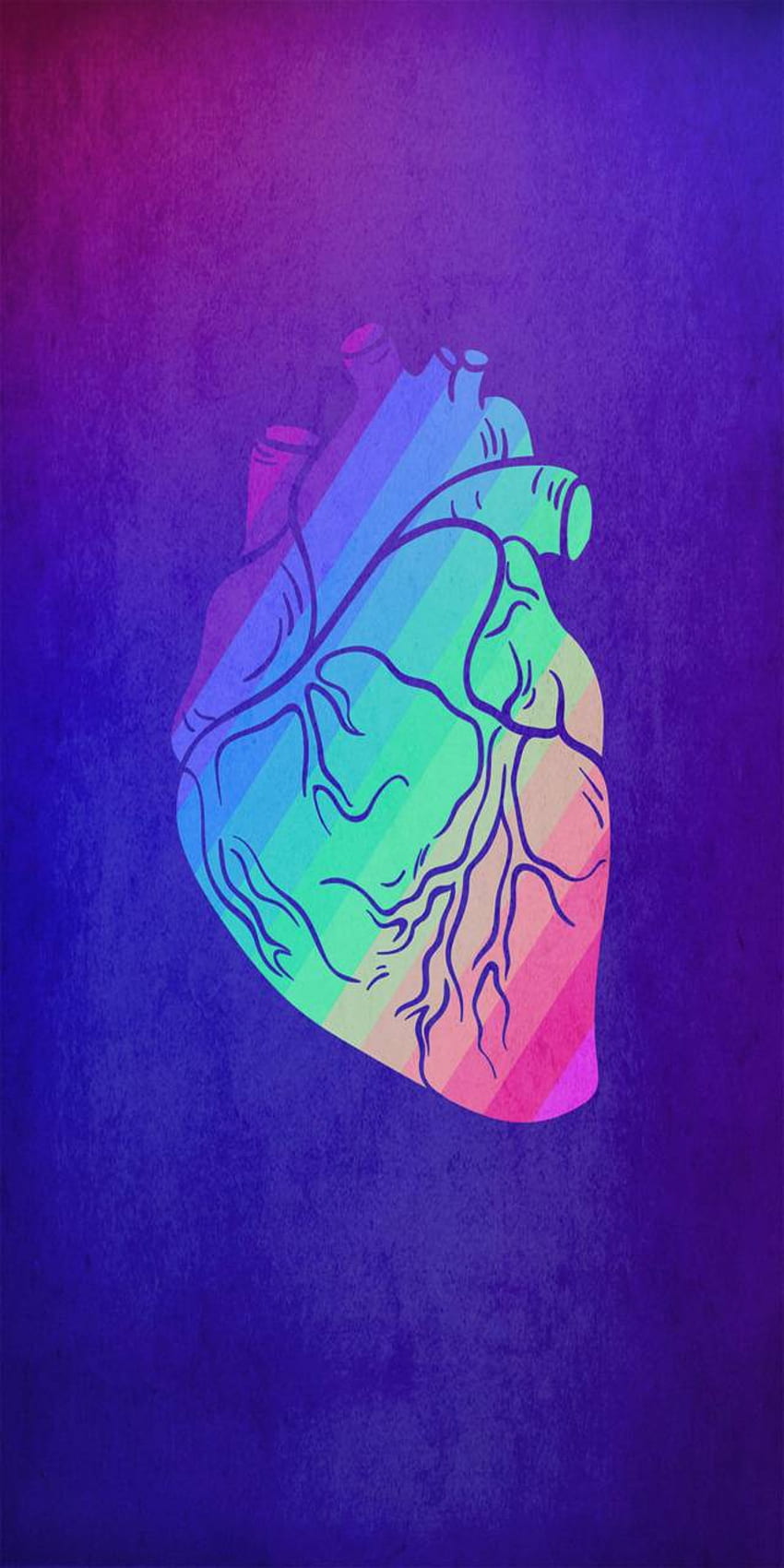 Lgbtq Heart Hd Phone Wallpaper Pxfuel