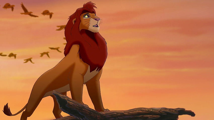 Simba Simba End Of Lion King Baby Simba HD Wallpaper Pxfuel