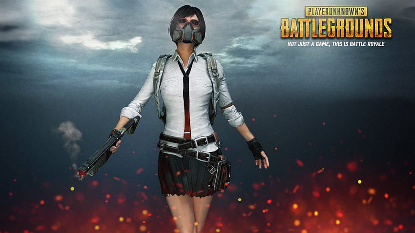 Playerunknown S Battlegrounds Pubg Pubg Characters Hd Wallpaper Pxfuel