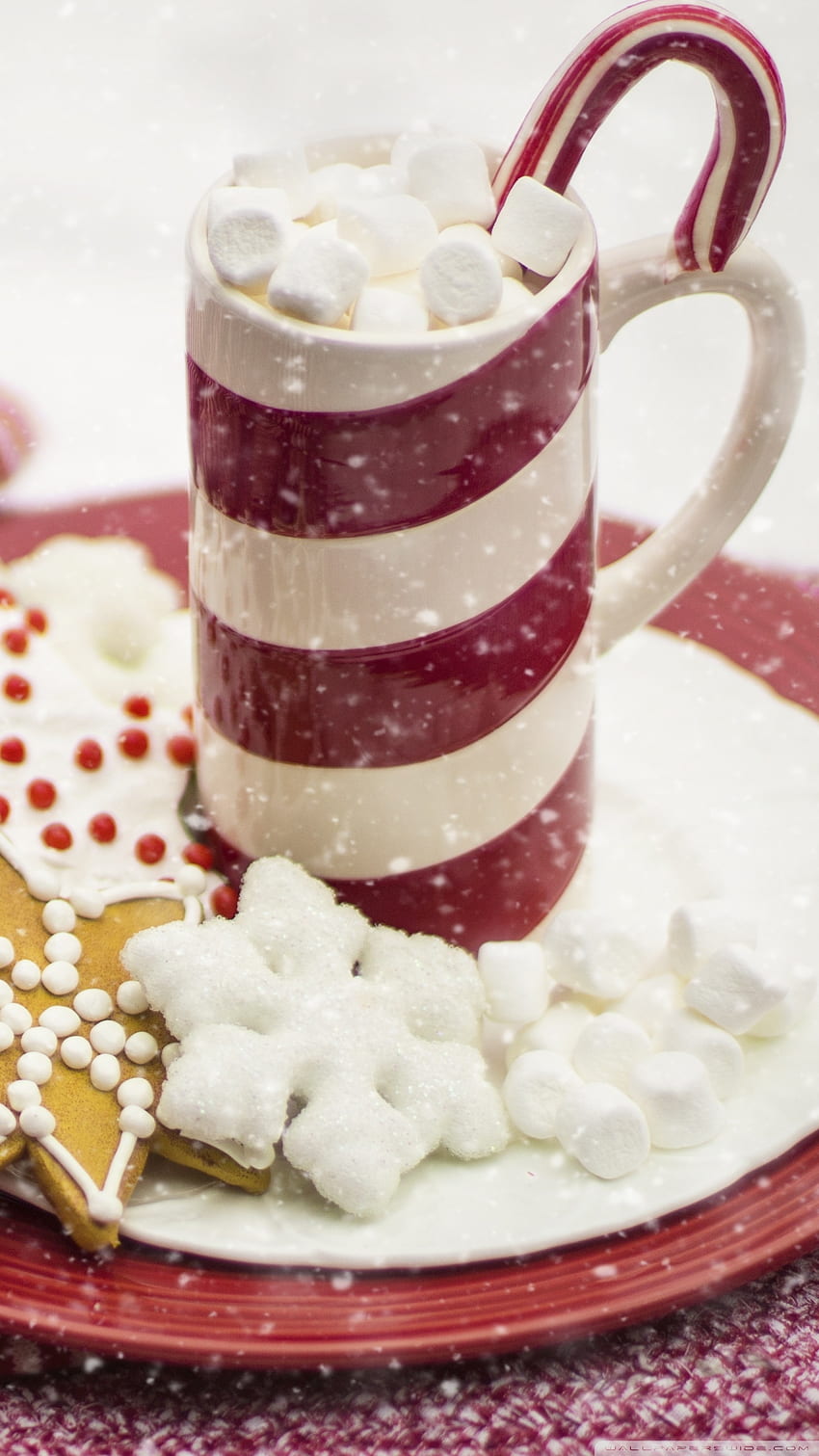 Decadent Slow Cooker Hot Chocolate Sally S Baking Addiction Christmas