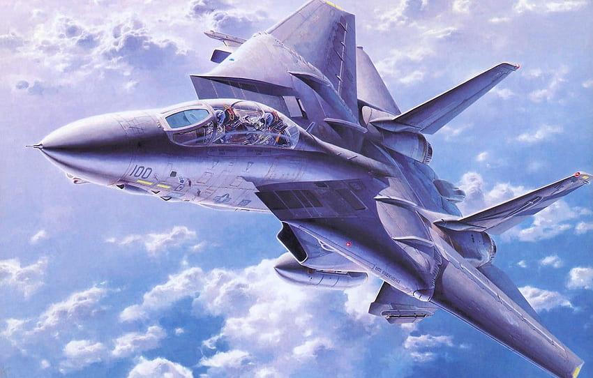 War Art Painting Jet F 14 Tomcat For F14 Tomcat HD Wallpaper Pxfuel