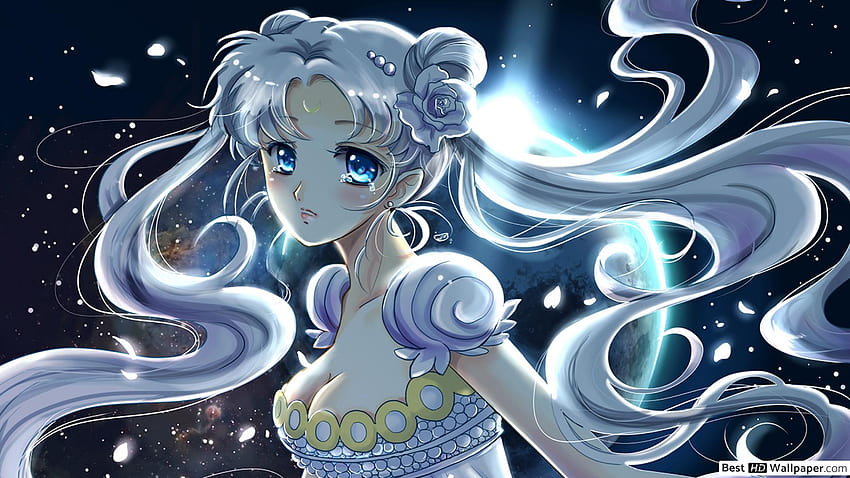 Sailor Moon Usagi Tsukino Sailor Moon Cat HD Wallpaper Pxfuel