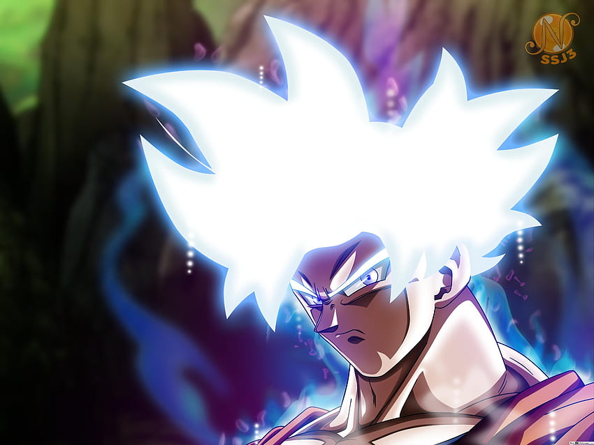 Mastered Ultra Instinct Goku HD Wallpaper Pxfuel