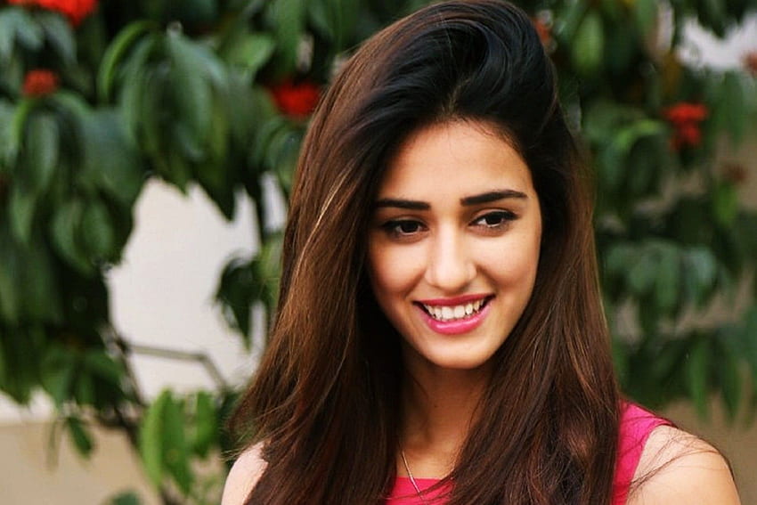 Disha Patani Background HD Wallpaper Pxfuel