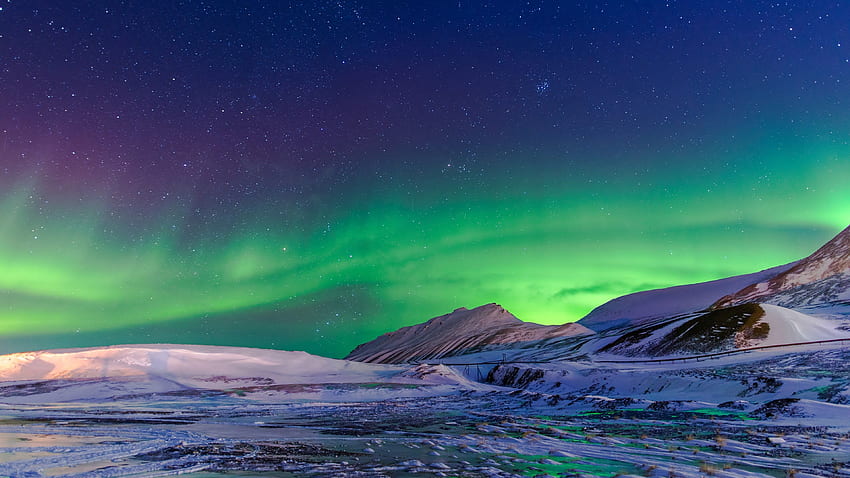 Aurora Borealis Ultra High Quality Walls HD Wallpaper Pxfuel