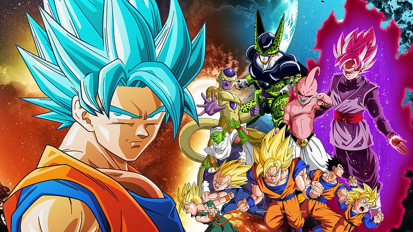 Dragon Ball Z All Goku Forms HD Wallpaper Pxfuel