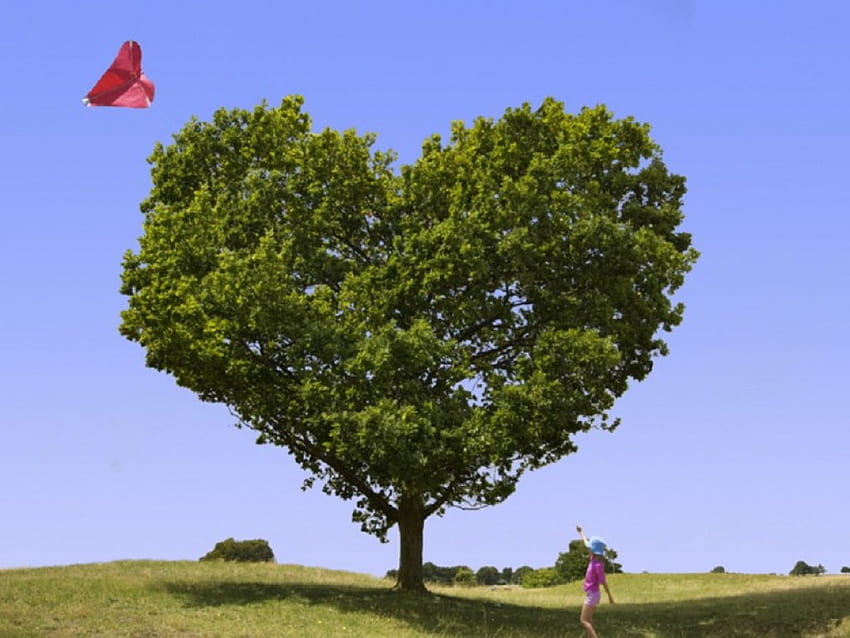 Love Tree, flying kite, heart tree, heart kite, sky, grass, girl, child HD wallpaper