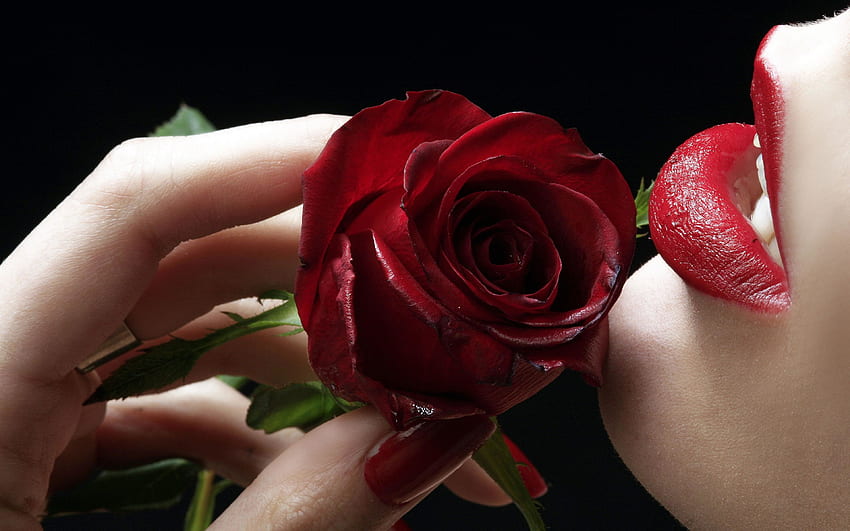Lábios Red Rose Flower com batom vermelho para Celulares e laptop papel de parede HD