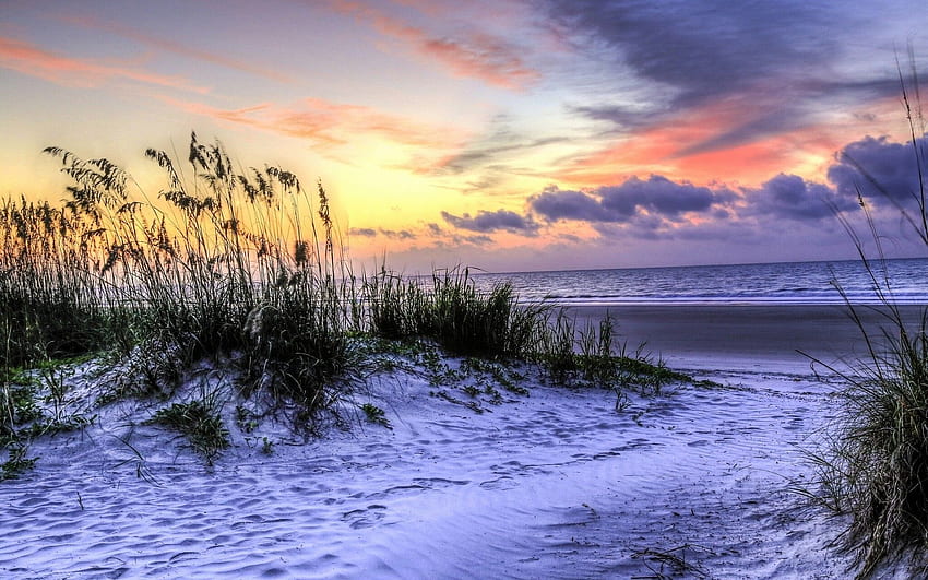 Hilton Head Island, Carolina del Sud, Stati Uniti d'America, spiaggia, erba, mare, tramonto Sfondo HD