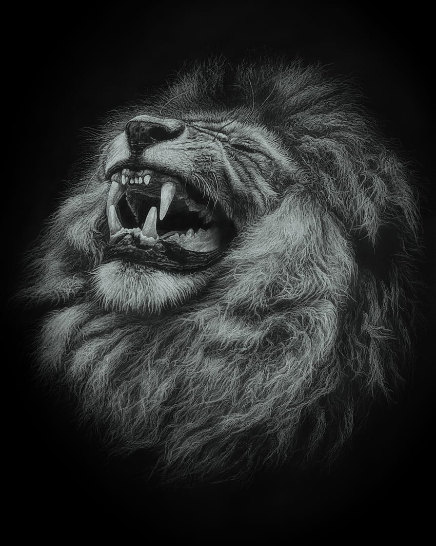 Art, Grin, Lion, Predator, Big Cat HD phone wallpaper
