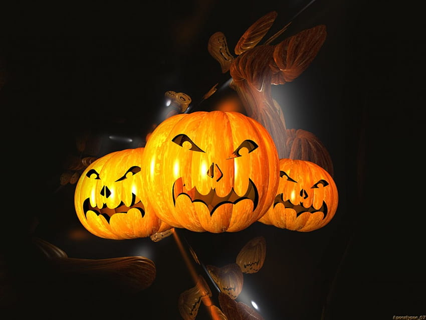 Really Scarey Pumpkins, abóboras, halloween, rostos, scarey, laranja papel de parede HD